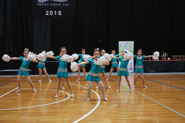 FROGS CHEERCUP 2018