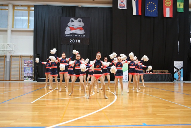 FROGS CHEERCUP 2018