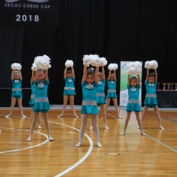 FROGS CHEERCUP 2018