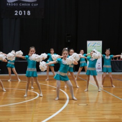 FROGS CHEERCUP 2018